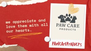 Drools Adult Wet Dog Food