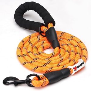 leash for dogs