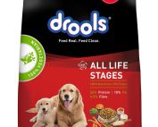 Drools Dry Dog