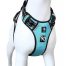 HANK Dog Harness