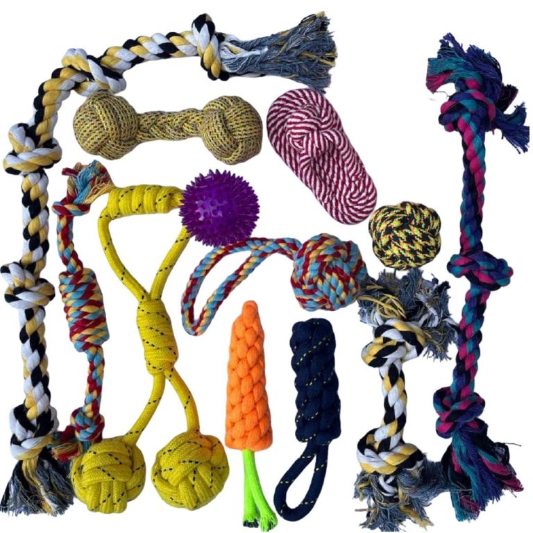 Dog Chew Toys