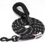 Nylon Dog Leash